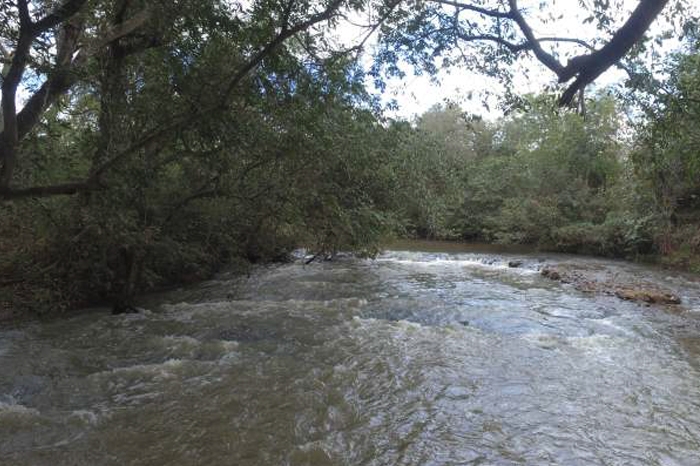 RIBEIRÃO MARINHEIRO